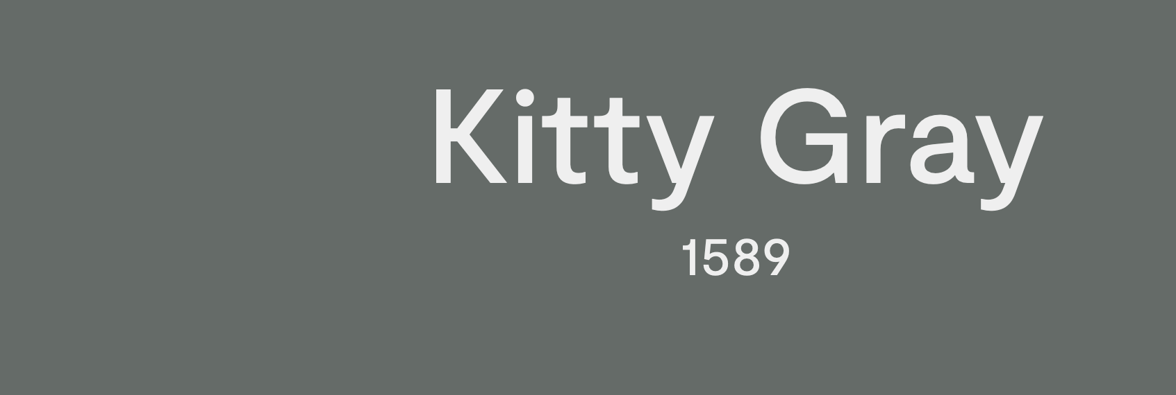 Kitty Gray 1589 - Benjamin Moore - finalizing paint colors